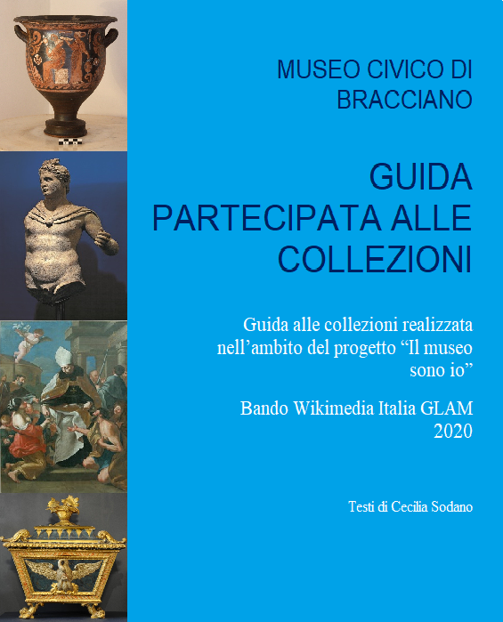 Copertina della Guida partecipata alle collezionio sono io